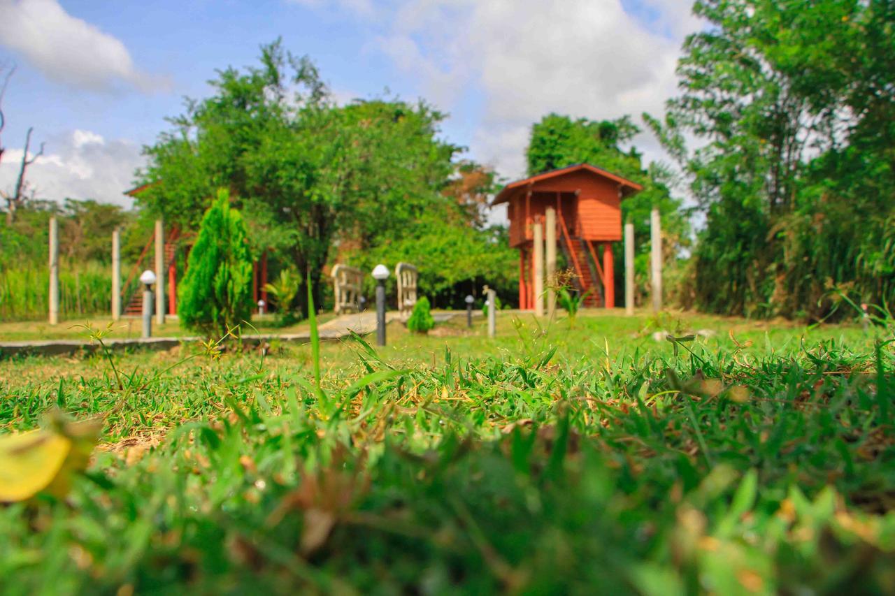 Sigiri Royal Point Tree House Hotel Sigiriya Exterior photo